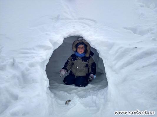 В поисках сокровищ