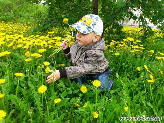 Я букет для мамы соберу!