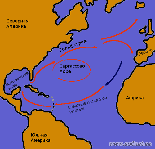 Саргассово море. Занимательная физика